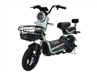 Hydralic Absorber Elektrofahrrad aus Stahl
