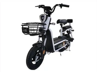 Starker Rahmenkörper E Fahrrad