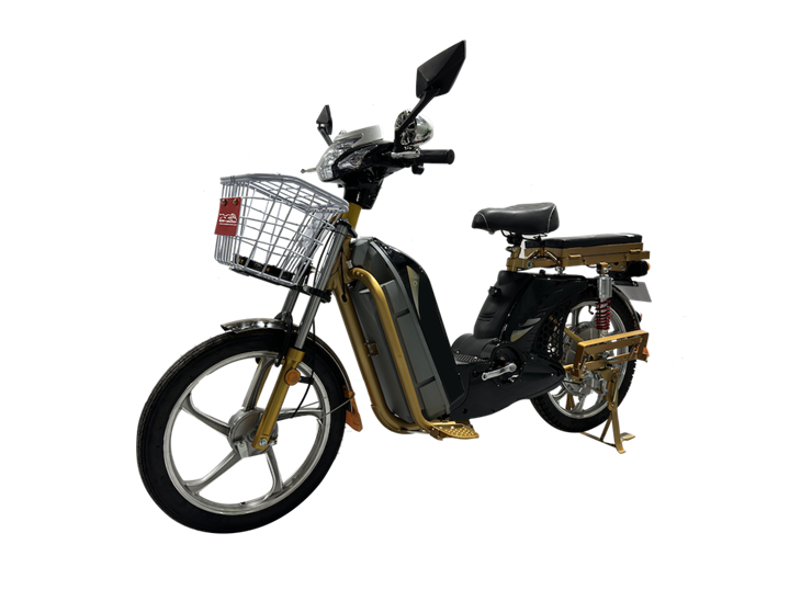 Classic Model Heavy Duty Cargo Electric-Bike